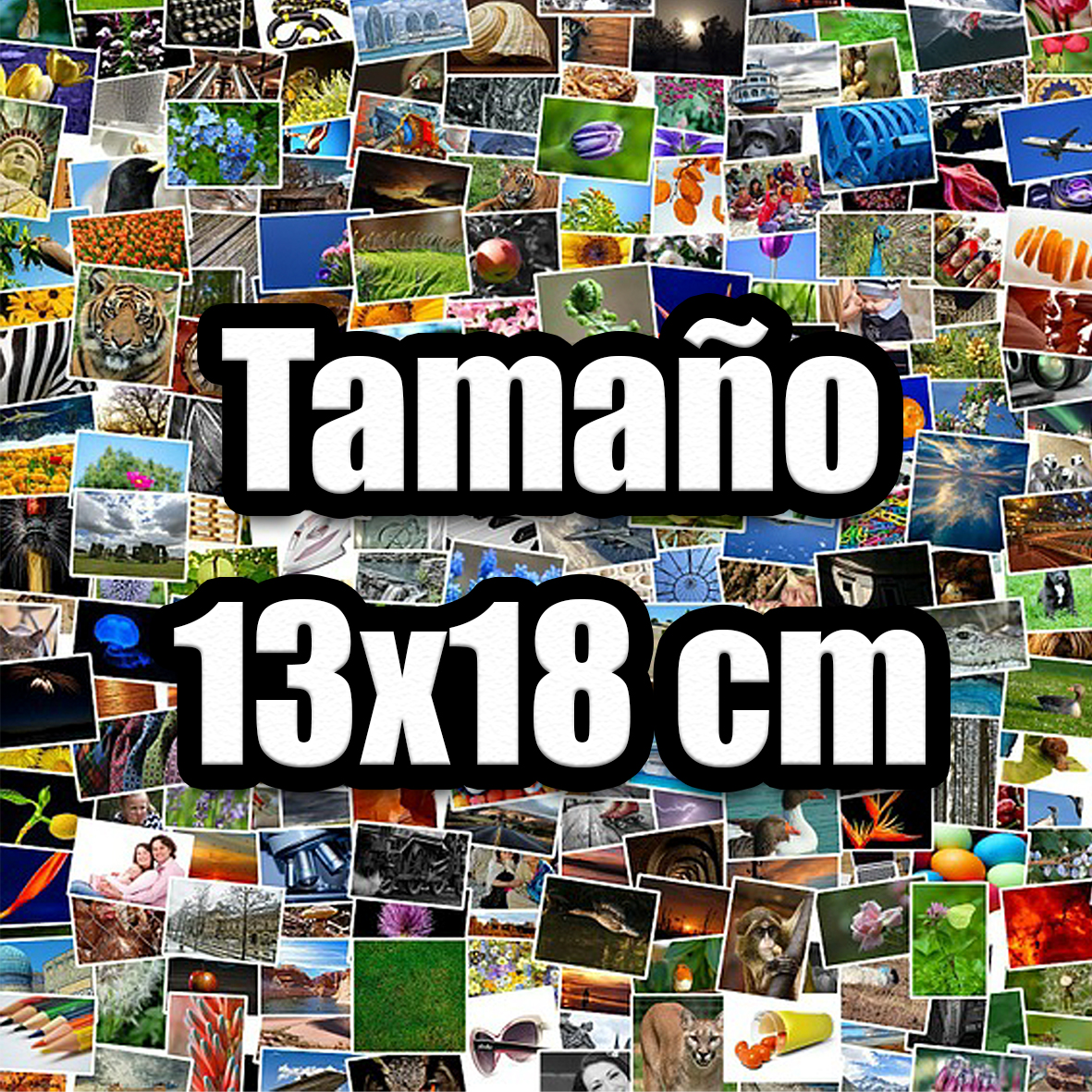 Pack Revelado de Fotos Tamaño 13x18 Hasta 49% Off - Fotopoint
